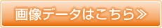 画像データはこちら≫