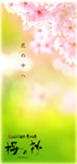 桜の抄