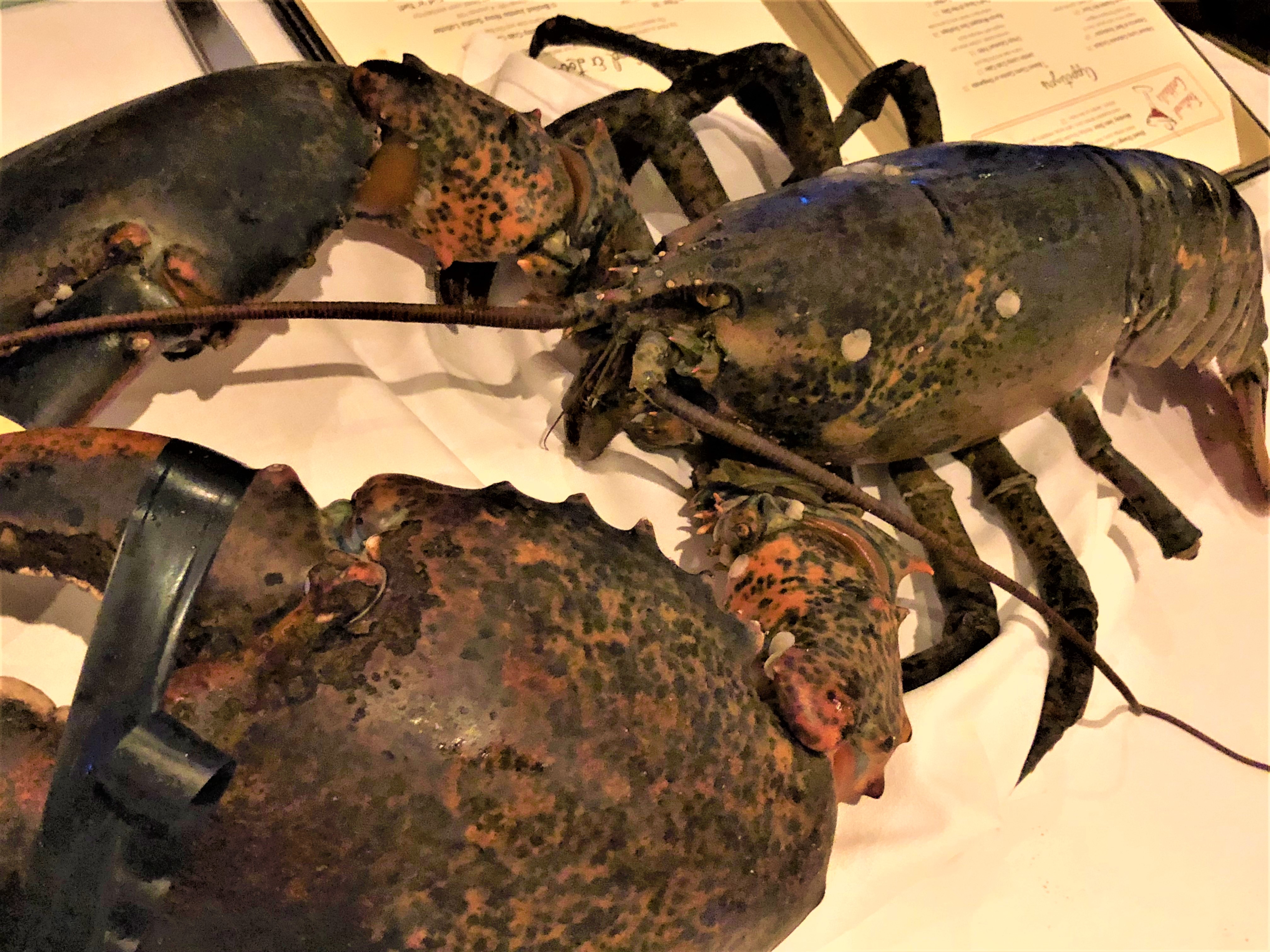 竹内美樹の口福のおすそわけ 226 ロブスター ストーン クラブ 竹内美樹