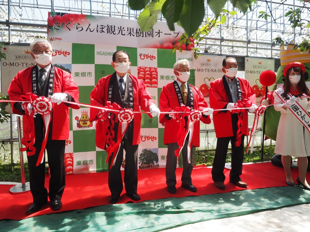 果樹王国 東根さくらんぼ観光果樹園 がオープン