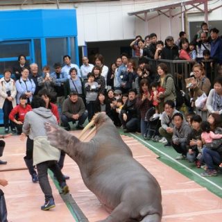 パラダイス 伊勢 シー アクセス・料金 ｜