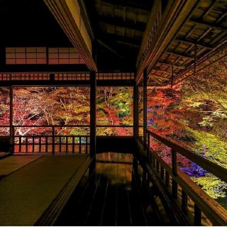 Jr東海ら5者 京都洛北 八瀬のもみじ の紅葉ライトアップイベント Jr東海ら5者 京都洛北 八瀬のもみじ の紅葉ライトアップイベント