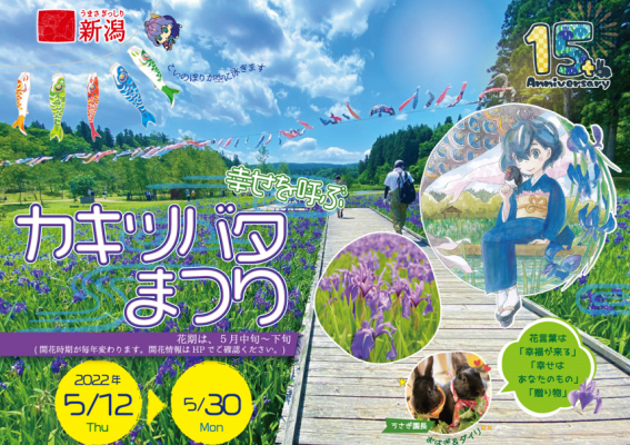 新潟県柏崎市で12日から 幸せを呼ぶカキツバタまつり22