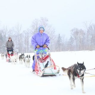 北海道 上川町dmc 大雪高原旭ヶ丘 犬ぞり体験ツアー 開始