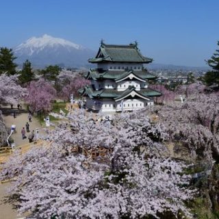青森県 弘前さくらまつり 新型コロナウイルス感染拡大防止で開催を中止 青森県 弘前さくらまつり 新型コロナウイルス感染拡大防止で開催を中止