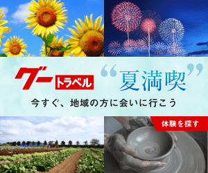 グートラベル体験プラン