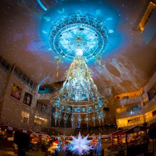 すみだ水族館 イルミネーションイベント Crystal Seaworld きらめく海中世界 を開催 観光経済新聞 すみだ水族館 イルミネーションイベント Crystal Seaworld きらめく海中世界 を開催 観光経済新聞