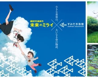 東京スカイツリータウンのすみだ水族館 アニメ映画コラボ企画展 未来のミライ すみだ水族館 小さな世界の 大いなる命の物語 開催
