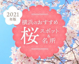 横浜観光コンベンション ビューロー 21年版 横浜のおすすめ桜スポット 名所 28選 公開