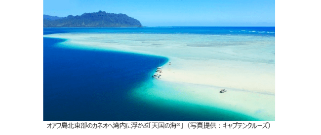 his オンライン体験ツアー キャプテンブルース 天国の海 実施 his オンライン体験ツアー キャプテンブルース 天国の海 実施