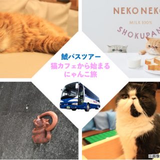 鯱バス ネコ好きの ネコ好きによる ネコ好きのための バスツアー を2月22日 猫の日 発売 鯱バス ネコ好きの ネコ好きによる ネコ好きのための バスツアー を2月22日 猫の日 発売