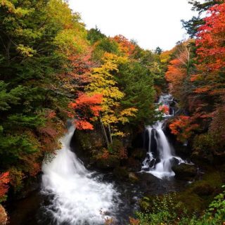 日光の紅葉ピーク 今年は約2週間遅め 日光の紅葉ピーク 今年は約2週間遅め